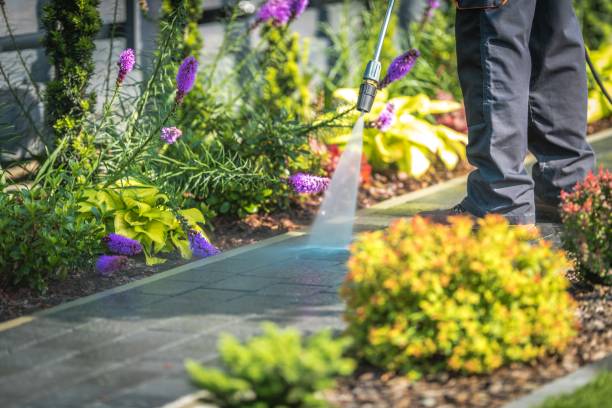 Best Animal Enclosure Cleaning  in Villas, FL