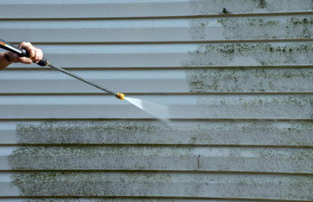 Best Gutter Cleaning  in Villas, FL